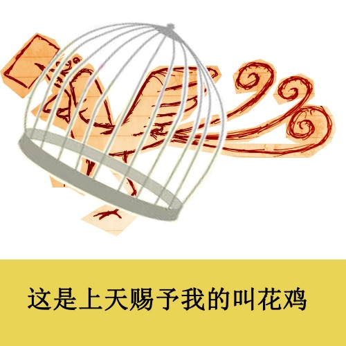 鸟5